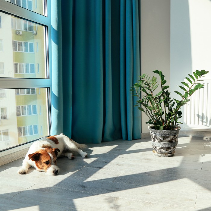 premiumfloor.pl - Panel laminowany a wpływ ekologii