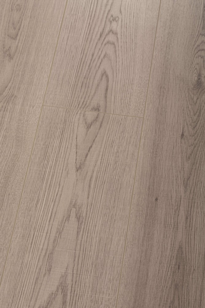 premiumfloor.pl - Panel laminowany Dąb Szlachetny
